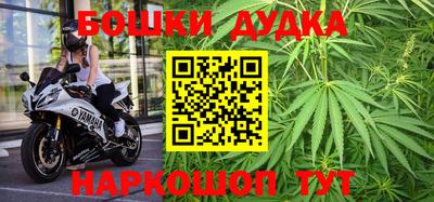 гидропоника Будённовск