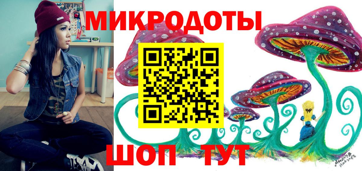 Галлюциногенные грибы Psilocybe Курчалой