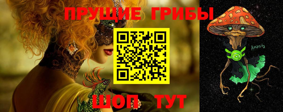 Псилоцибиновые грибы GOLDEN TEACHER  Галлюциногенные грибы GOLDEN TEACHER  Курчалой  Вход с VPN 