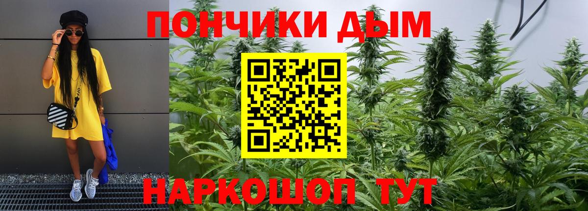 Канабис планчик Курчалой